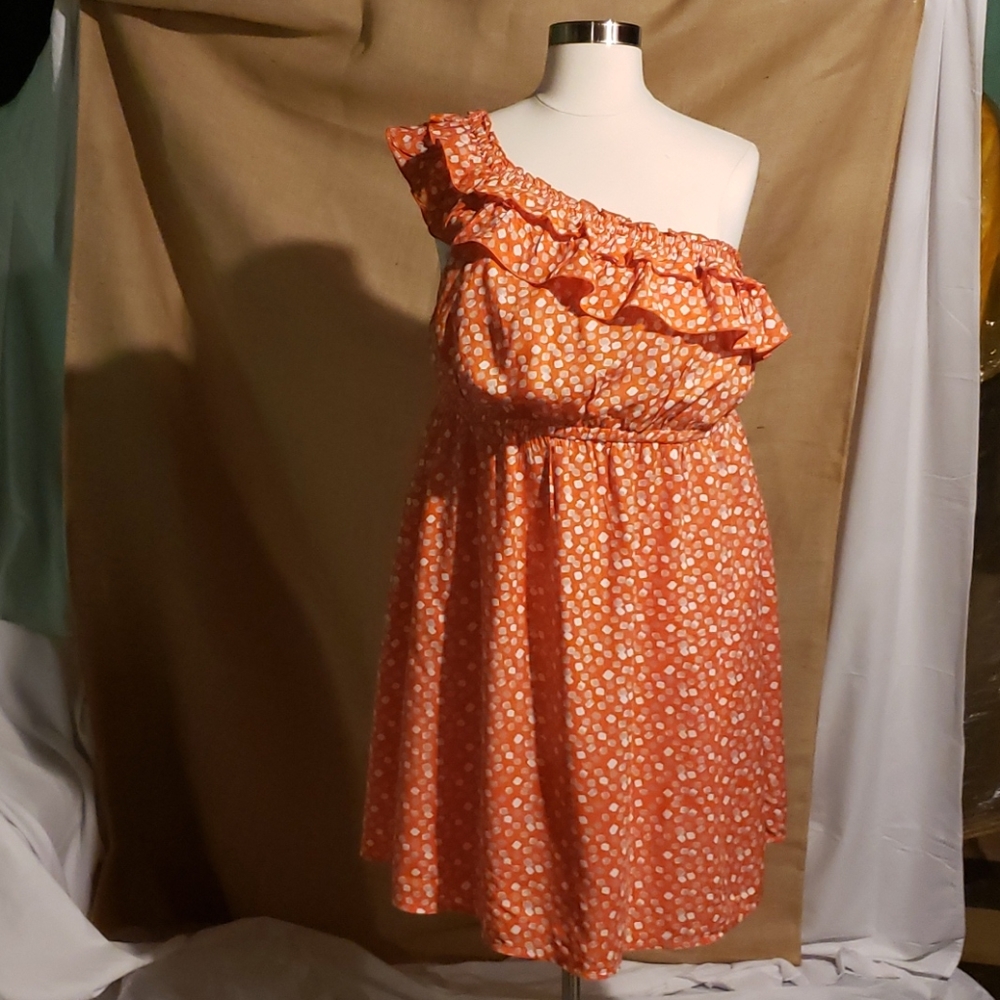 Lane Bryant Dress    NWOT